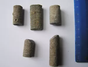 Bolsa De 5 Fossil Crinoideo Tallos - Maroquí - Imagen 1 de 1