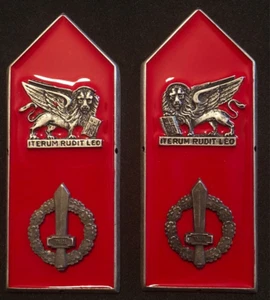 COPPIA DI MOSTRINE BATTAGLIONE SAN MARCO RSI - IN METALLO - Picture 1 of 2