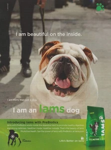 2009 IAMS Dog Food - "I Am Beautiful On The Inside" - Bulldog - Print Ad Photo - Picture 1 of 1
