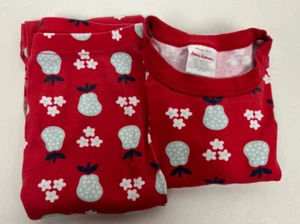 HANNA ANDERSSON Girl Red Blue Floral Pear Fruit Organic Long Pajamas Set 150 12 - Picture 1 of 12