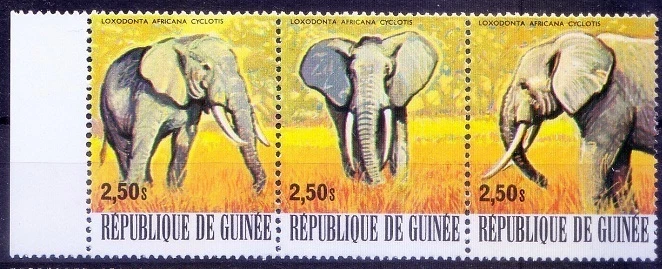 Elefantes, Guinea 1977 MNH tira sin goma de mascar, animales salvajes [Ps] Foto 1 de 1