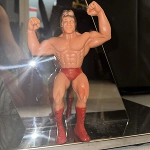 Vintage Paul Orndorff WWF Titan Sports WWE Champion LJN Figure Ring Wonderful - Picture 1 of 6