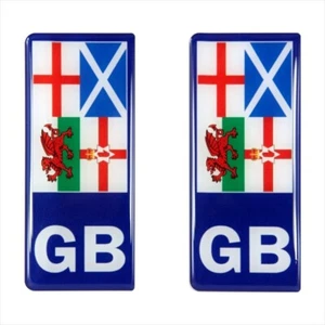 2x 98x42mm GB Reino Unido Banderas Número Placa Gel Resina Cúpula Pegatinas Insignia - Imagen 1 de 2