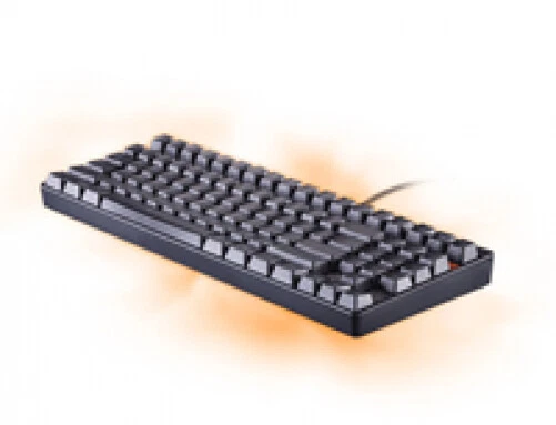 Rapoo V500 Mechanische Gaming Tastatur schwarz, (DEU Layout - QWERTZ) - Bild 1 von 1