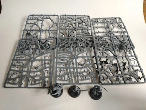 Warhammer 40K Drukhari Mandrakes x10 (A1) - Bild 1 von 3