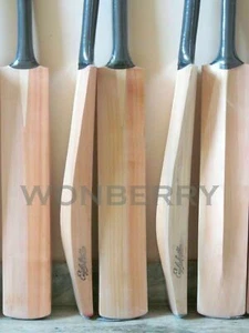Murciélago de cricket sauce inglés liso borde grande grueso tamaño completo CCB12 - Imagen 1 de 3
