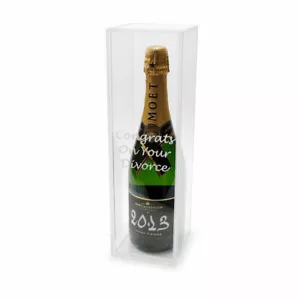 Clear Wine Bottle Gift Box Champagne Case Congrats On Your Divorce Funny Present - Picture 1 of 2