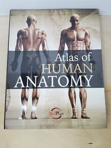 Atlas Of Human Anatomy, Jordi Vigue with CD-Rom - Picture 1 of 6