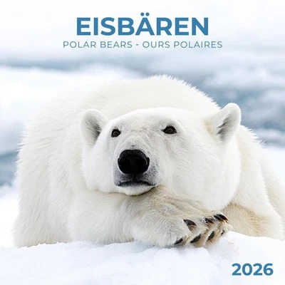 TUSHITA PAPERART GMBH Eisbärchen/Polar Bears 2026
