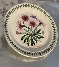 â¤ï¸Portmeirion Botanic Garden: Salad Plate, 8 1/2", Treasure Flower Gazania
