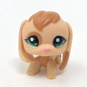 Littlest Pet Shop Tan Beagle Dog #1664 Green Eyes Puppy LPS AUTHENTIC - Picture 1 of 6
