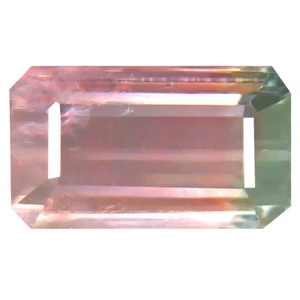 3.30 ct Attractive Octagon (11 x 6 mm) Un-Heated Brazil Bi-Color Tourmaline - Picture 1 of 1