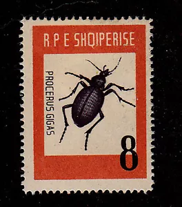 Albania - 1963-SC 662-H-Beetle-Procerus gigas - Picture 1 of 2