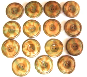 Menge 15 passende Vintage Zelluloid enge Top Knöpfe Erdton 1 3/8" - Bild 1 von 5