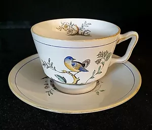 QUEEN'S VOGEL VON SPODE TASSE UND UNTERTASSE GRÜNER RÜCKENSTEMPEL - Bild 1 von 6