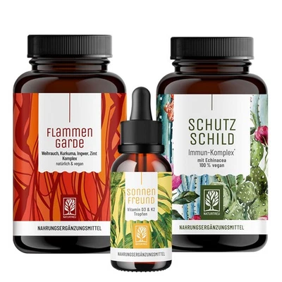 Immunsystem Komplex Paket Weihrauch Kurkuma Echinacea Vitamin D3 K2 NATURTREU® - Bild 1 von 4