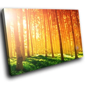 SC287 Green Orange Sunrise Forest Nature Canvas Wall Art Large Picture Prints - Picture 1 of 6