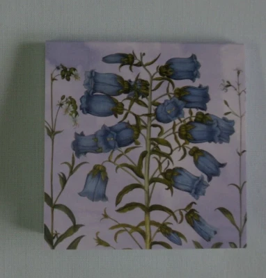 1x Klebezettel Haftnotizen Glockenblumen 7,2 x 7,2 cm 50 Blatt Notizzettel Blume - Bild 1 von 3