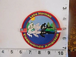 Lake Norman Taekwondo America   Martial Arts Patch  free shipping - Picture 1 of 1