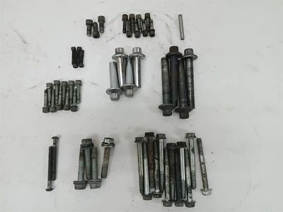 Pernos de montaje de motor Harley-Davidson Heritage Softail 06 Foto 1 de 4