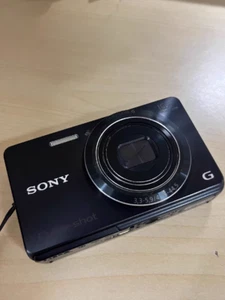 Sony Cyber-shot DSC-W690 16.1MP CCD Vintage Digital Camera - Picture 1 of 20