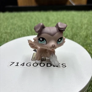 COLLIE DOG #1330 - Authentic Littlest Pet Shop - Hasbro LPS - Picture 1 of 6