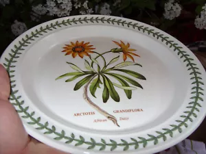 PORTMEIRION BOTANIC GARDEN AFRICAN DAISY 10.5" PLATE RARE NO INSECT VERSION EXC! - Picture 1 of 6