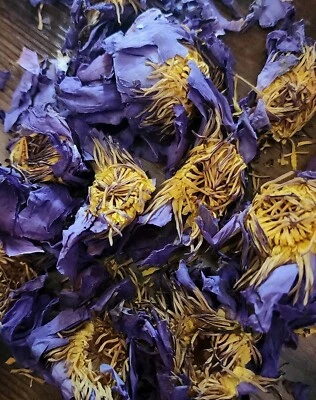 Trendy Blue Lotus Dried Cut Nymphaea Caerulea Whole Flowers, Free Shipping! Foto 1 de 4