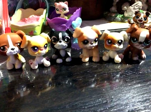LPS Littlest Pet Shop 6 Boxers Dogs RARE pre-LOVED set early 2000's Vintage Toys - Picture 1 of 11