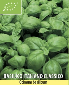 SEMI SEMENTI BASILICO ITALIANO CLASSICO BIOLOGICI BIO 50g - Foto 1 di 1