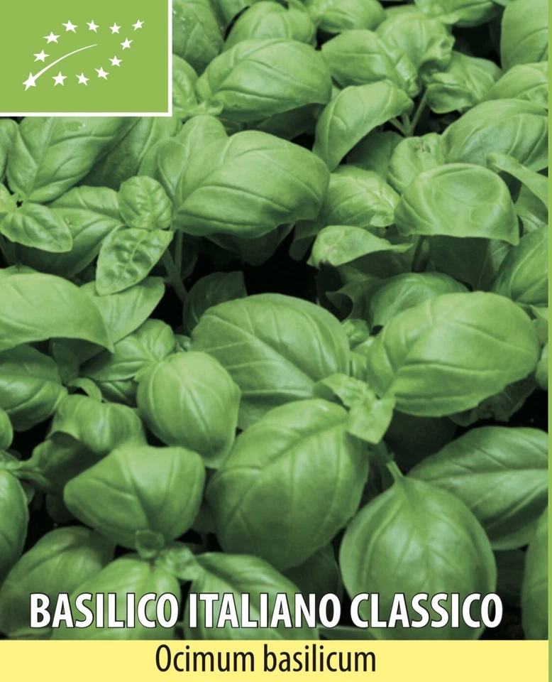 SEMI SEMENTI BASILICO ITALIANO CLASSICO BIOLOGICI BIO 200g - Immagine 1 di 1