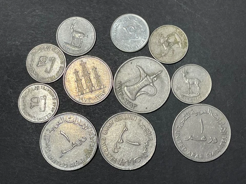 United Arab Emirates 11 Coins lot High Value Cover