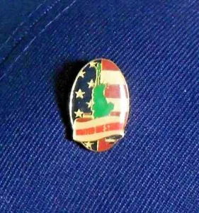 American Flag United We Stand Oval -Statue Of Liberty - 1" x 1/2" 6 Pins New - Picture 1 of 2