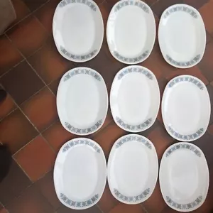 JAJ Pyrex Chelsea Pattern Oval Steak/Dinner Plates x 9 Retro / Vintage - Picture 1 of 6