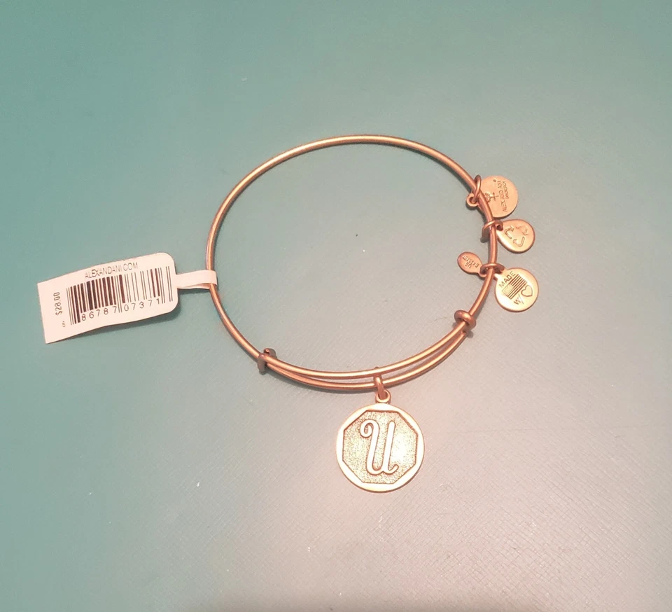 Pulsera Alex and Ani + Plata Energética Nueva con Etiquetas - Hogar Libre de Humo - BRONCE Foto 1 de 1