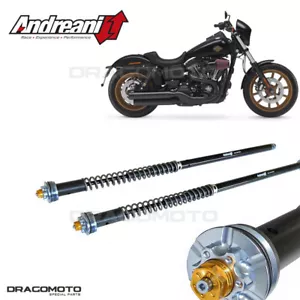 HARLEY-DAVIDSON Dyna Low Rider S / FXDLS 2016-2017 cartridge ANDREANI 110/HD1... - Picture 1 of 5