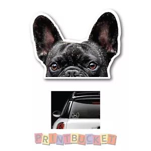 Black French Bulldog peeping Sticker 130mm quality water & fade proof vinyl dog - Picture 1 of 1