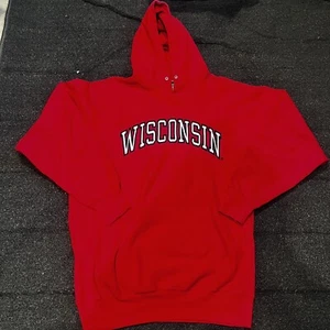 Vtg Wisconsin Badgers Hoodie Sweatshirt Mens XL Embroidered Steve & Barry's - Picture 1 of 7