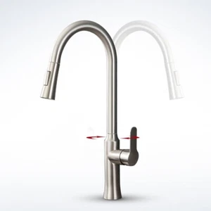 Kitchen Tap sprayer Sink Faucet with Pull Out Sprayer, Stainless Steel, Bathroom - Picture 1 of 8