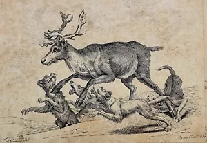 Biedermeier Gouache Jagd Stilleben A. Schleich 1824 Hirsch und Hunde Meute (53) - Bild 1 von 12