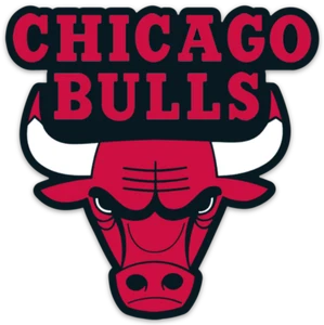 Chicago Bulls Logo Type Die-cut MAGNET - Picture 1 of 1
