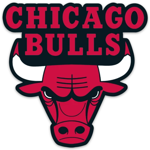 Chicago Bulls Logo Type Die-cut MAGNET Cover