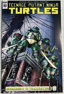 Teenage Mutant Ninja Turtles #80 NM 1:10 Tadd Galusha Variant 2018 IDW Comics - Picture 1 of 6