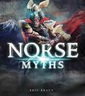 Mythology Around The World Norse Myths Braun Eric