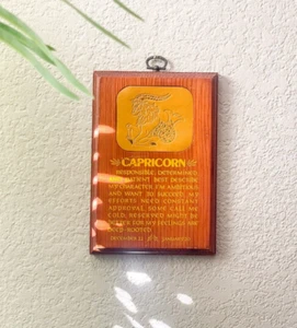 Vintage Capricorn Wall Plaque with Zodiac Traits, Mid-Century Astrology Decor - Picture 1 of 5