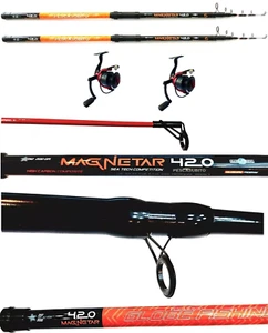 2 Canne Surfcasting 4.20Mt 200g + 2 Mulinelli Pesca Mare Beach Fondo EH - Foto 1 di 3