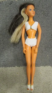 De Colección Ideal Tuesday Taylor Barbie Tipo Moda Muñeca Cabeza Giratoria 2 Color de Pelo Zapatos - Imagen 1 de 6