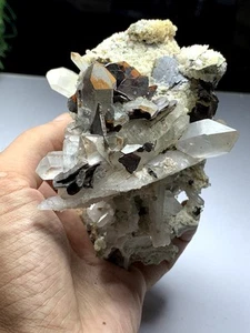 Brookite Blades On Quartz Crystals cluster Having Good Lustre & Nice Growth.Pak. - Picture 1 of 15