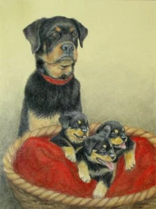 Original Pastellzeichnung Rottwieler Hund & süße Welpen Sally Porter Kunst Wachhund - Bild 1 von 1