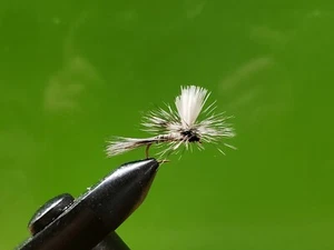 1 Dutzend - Fallschirm Moskito Mücke - Trockenfliege - Forelle - Bild 1 von 1